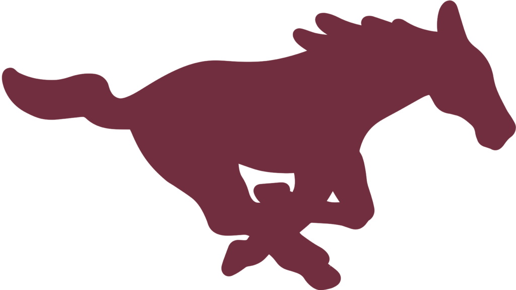 Mount Vernon Mustang Logo