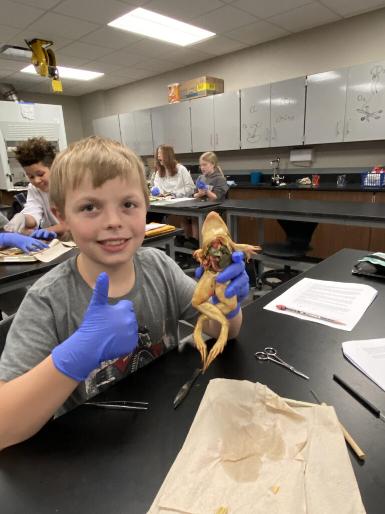 Website 6th grade frog dissection
